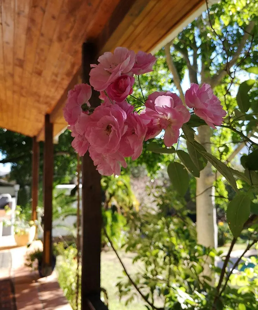 Zencapetown Holiday House ハウト・ベイ